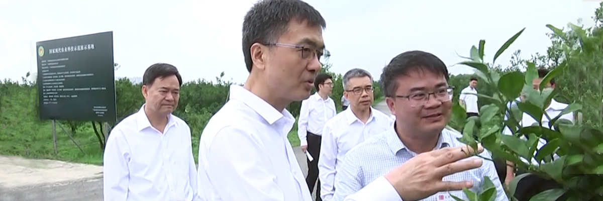 广西壮族自治区党委书记刘宁莅临鸣鸣果园调研
