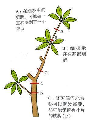 果树还割