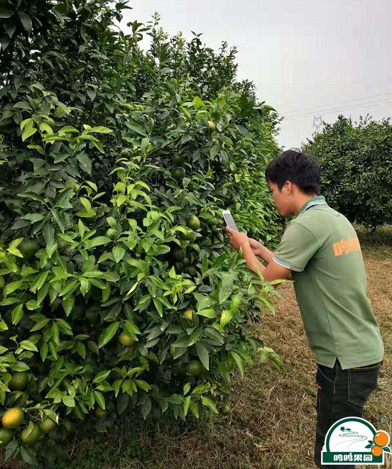 农场管理人员使用系统拍照上传