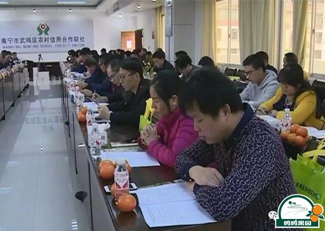 武鸣沃柑产业高质量发展座谈会