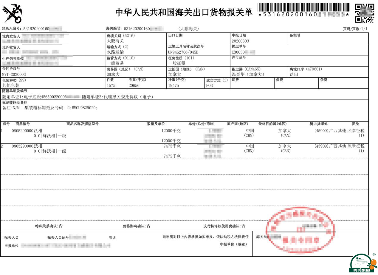 鸣鸣果园沃柑首次出口加拿大