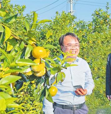 产业兴旺 | 广西壮族自治区党委书记刘宁莅临鸣鸣果园调研